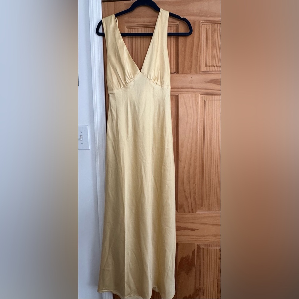 Abercrombie and Fitch Plunge Cowl Back Maxi Dress